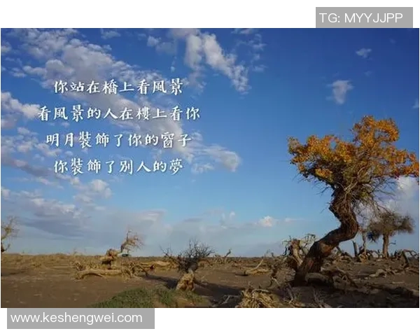 篮球明星背后的故事与奋斗历程揭示他们成功的秘密与人生哲学